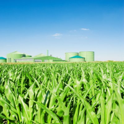 Sustainable Bioenergy & Biorefinery – hub-netzero.com