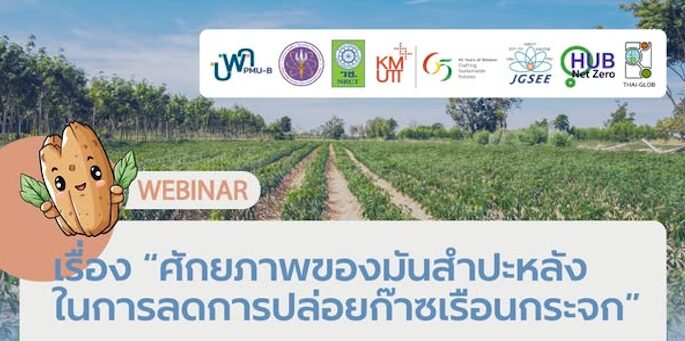 สัมมนาออนไลน์เผยศักยภาพของมันสำปะหลังในการลดก๊าซเรือนกระจก